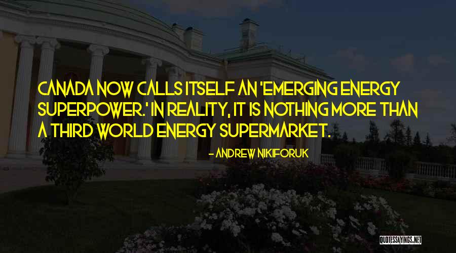 Andrew Nikiforuk Quotes 884872