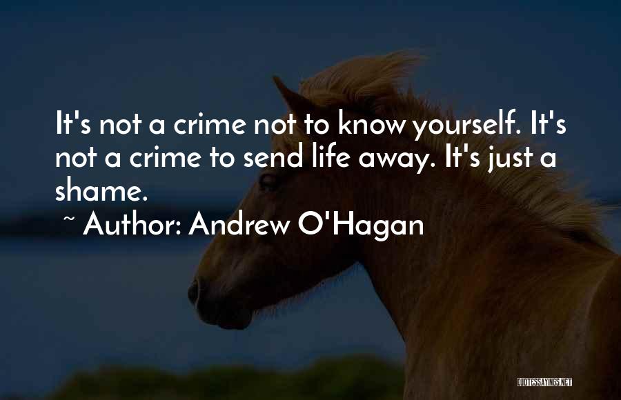 Andrew O'Hagan Quotes 1925173