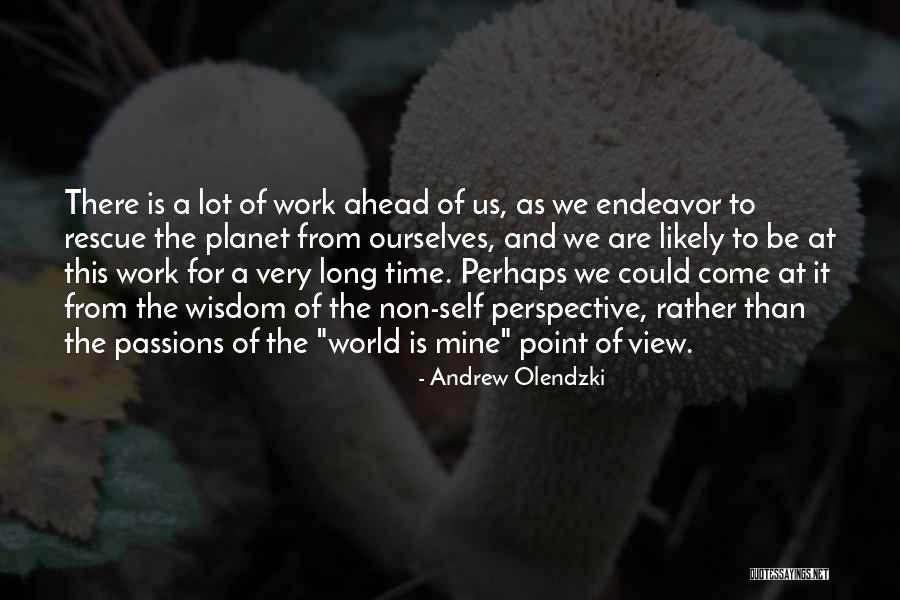 Andrew Olendzki Quotes 1692866