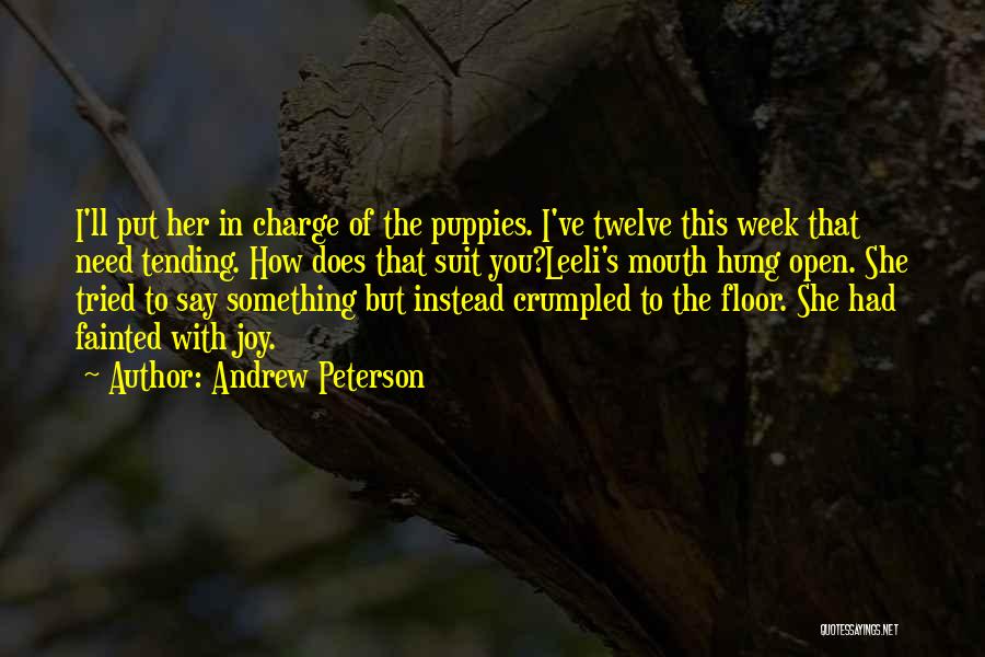 Andrew Peterson Quotes 1209640