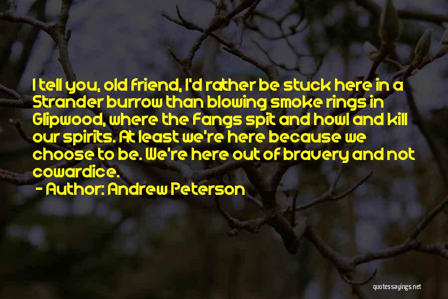 Andrew Peterson Quotes 1253558