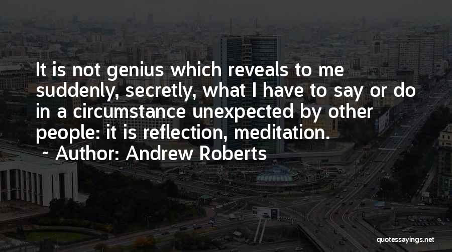 Andrew Roberts Quotes 1385880