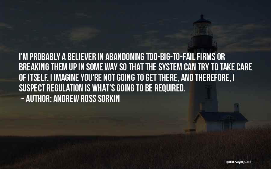 Andrew Ross Sorkin Quotes 2128771