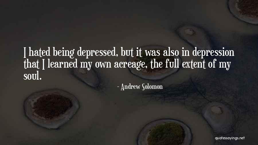 Andrew Solomon Quotes 1308092