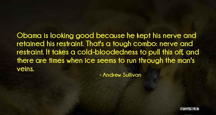 Andrew Sullivan Quotes 1175245