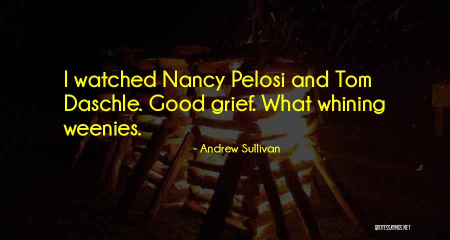 Andrew Sullivan Quotes 1321667