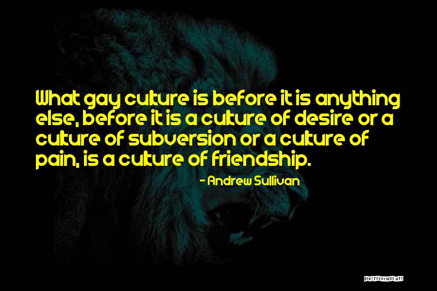 Andrew Sullivan Quotes 1666791