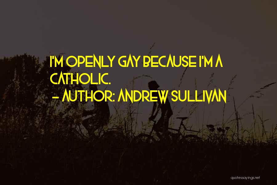 Andrew Sullivan Quotes 1882145