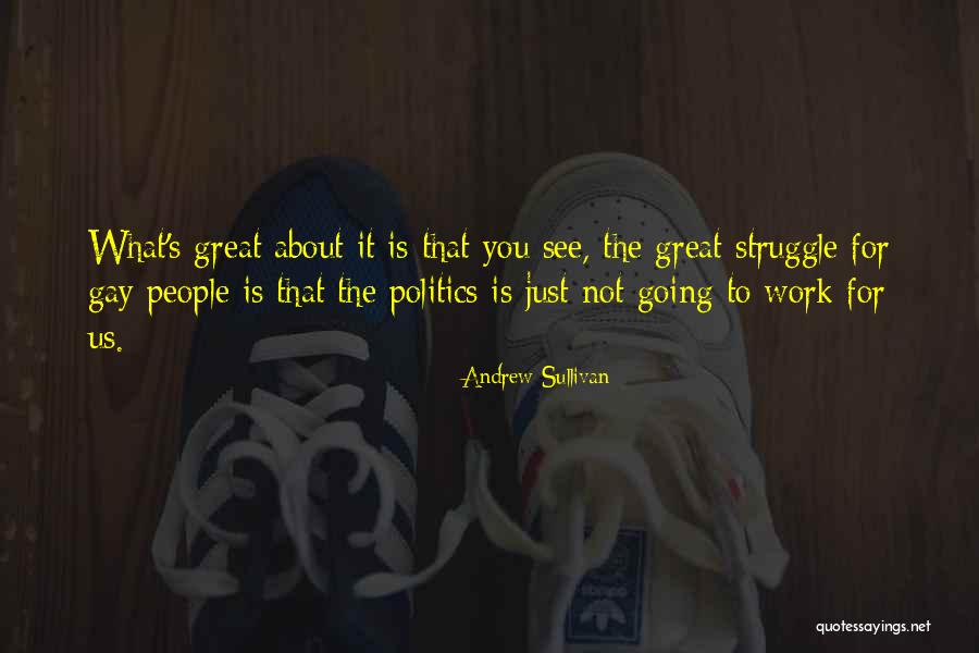 Andrew Sullivan Quotes 373215