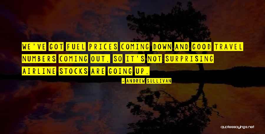 Andrew Sullivan Quotes 373455