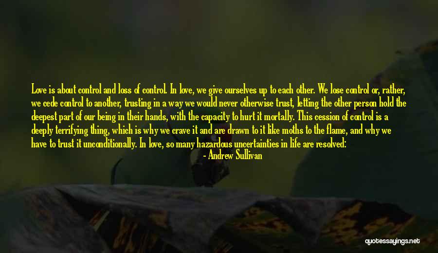 Andrew Sullivan Quotes 374935