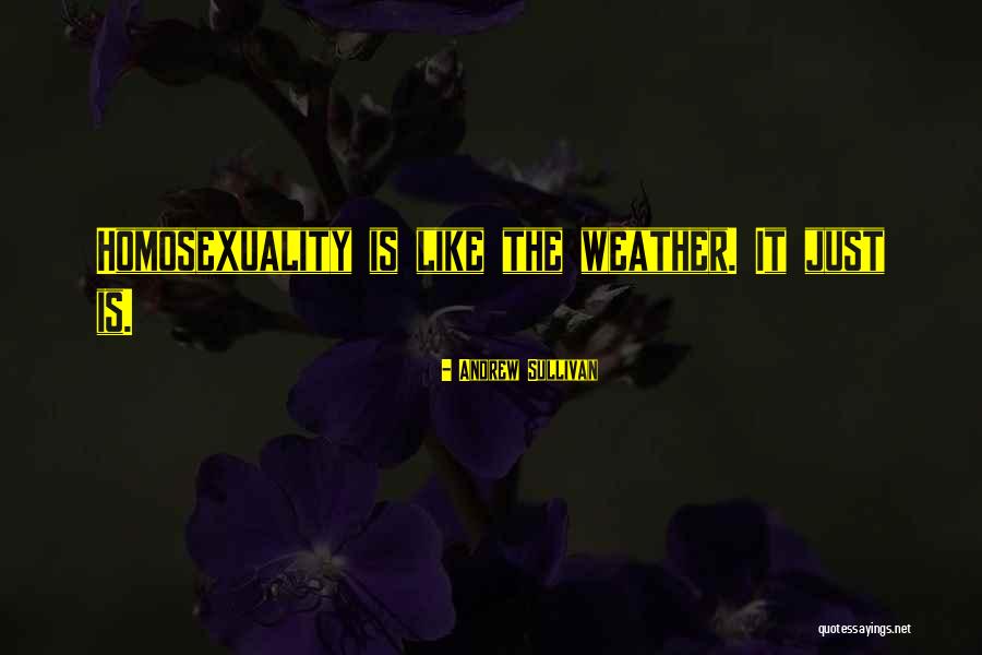 Andrew Sullivan Quotes 523477 Andrew Sullivan Quotes 523477