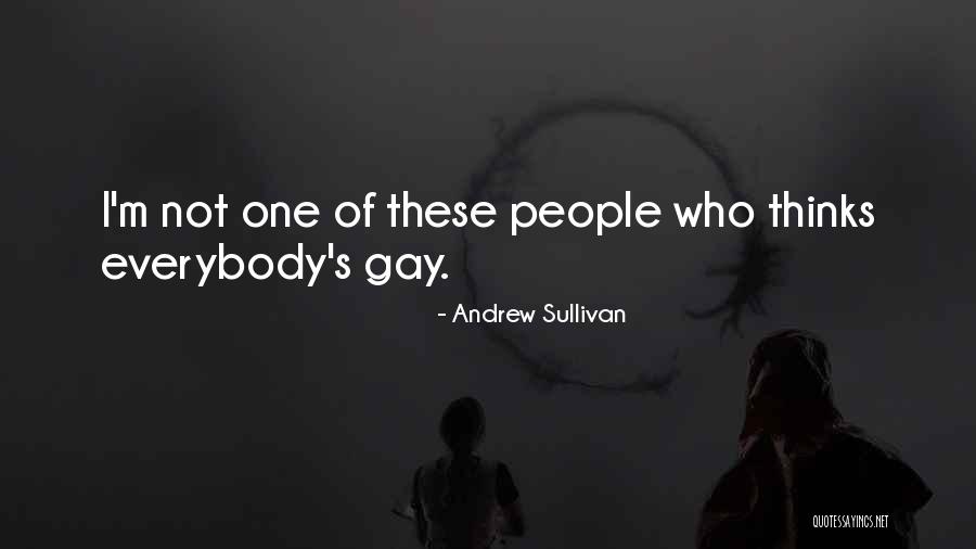 Andrew Sullivan Quotes 749948