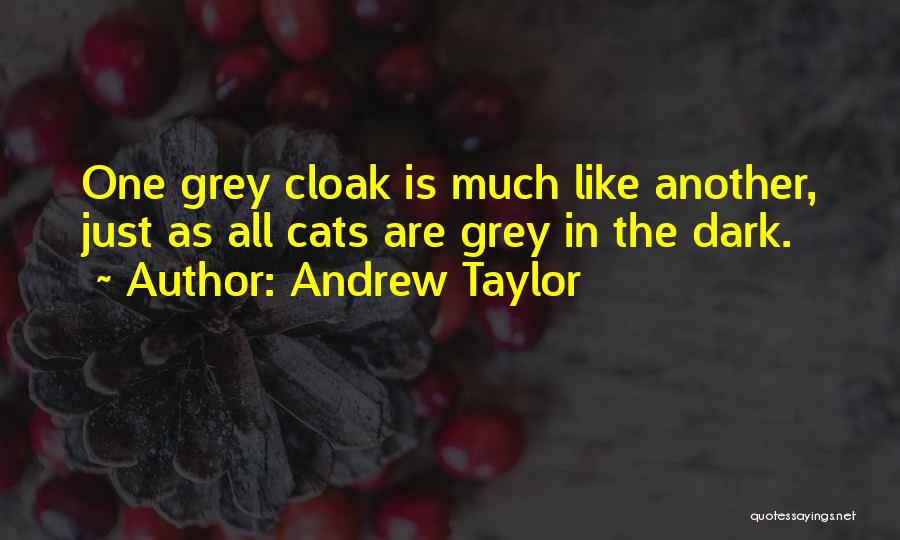 Andrew Taylor Quotes 1911312