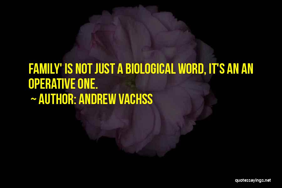 Andrew Vachss Quotes 1050667