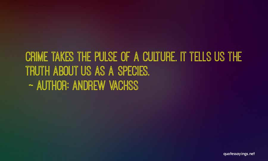 Andrew Vachss Quotes 1484957