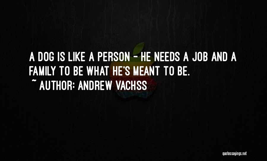 Andrew Vachss Quotes 1573176