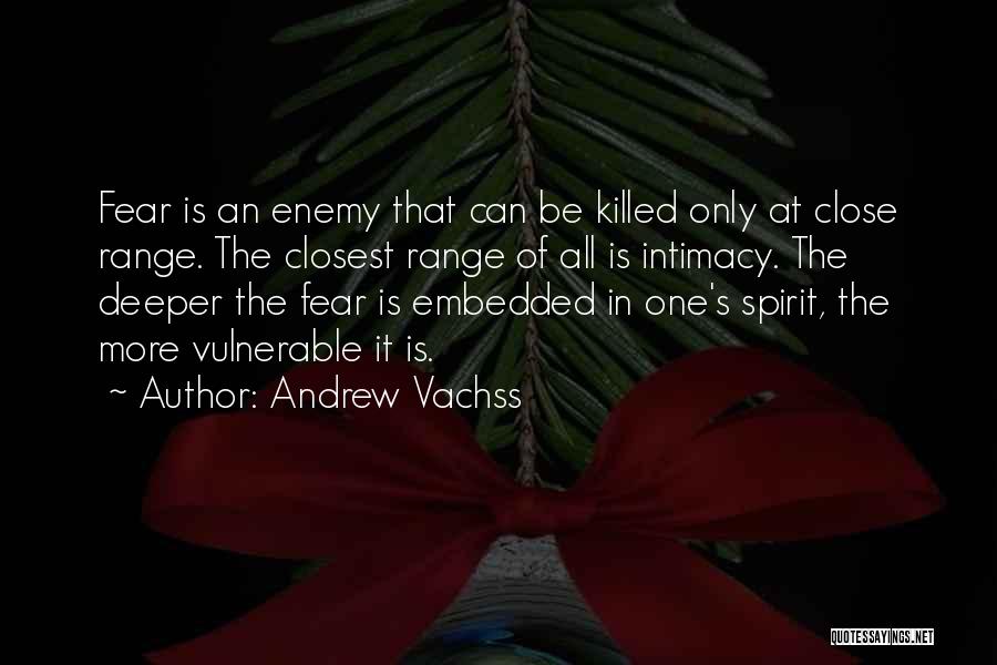 Andrew Vachss Quotes 2252966