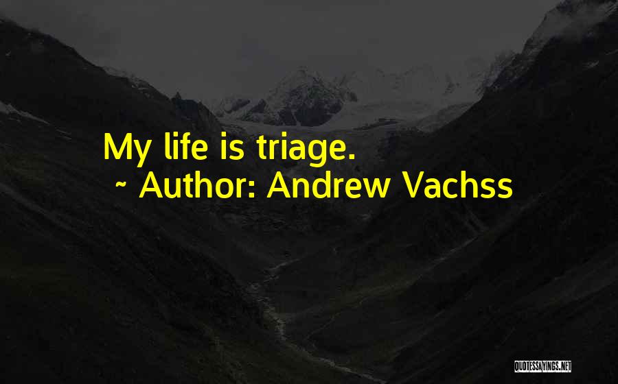Andrew Vachss Quotes 579163