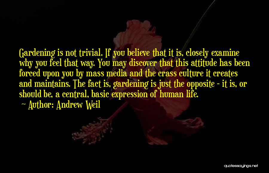 Andrew Weil Quotes 1162096