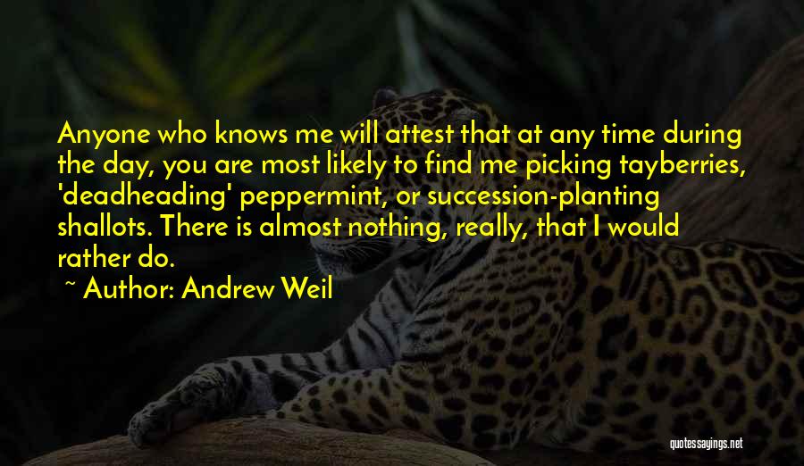 Andrew Weil Quotes 1804516