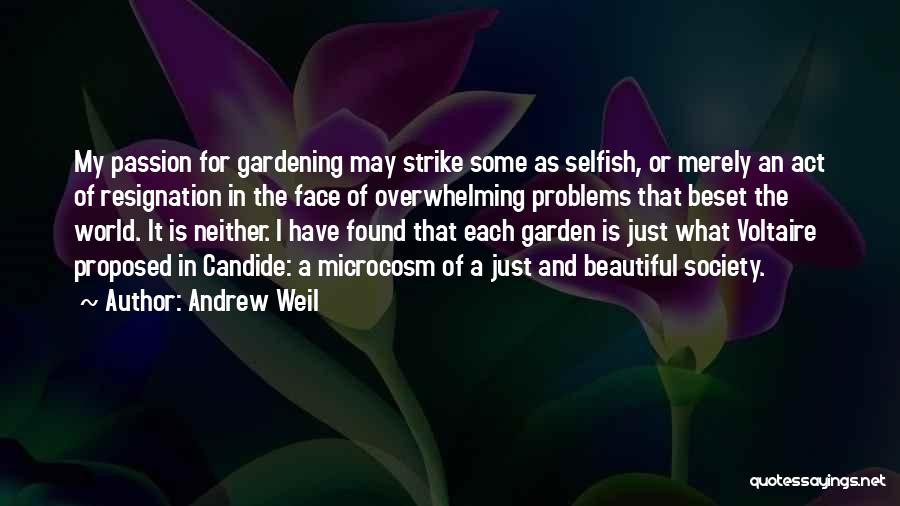 Andrew Weil Quotes 441097