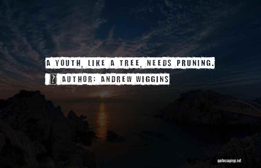 Andrew Wiggins Quotes 2206434