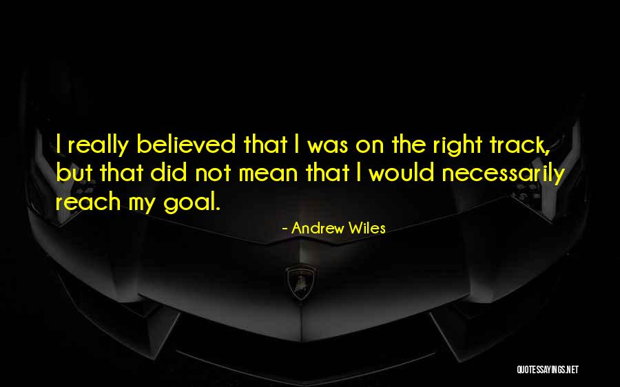 Andrew Wiles Quotes 1524573