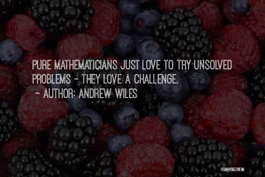 Andrew Wiles Quotes 1742216