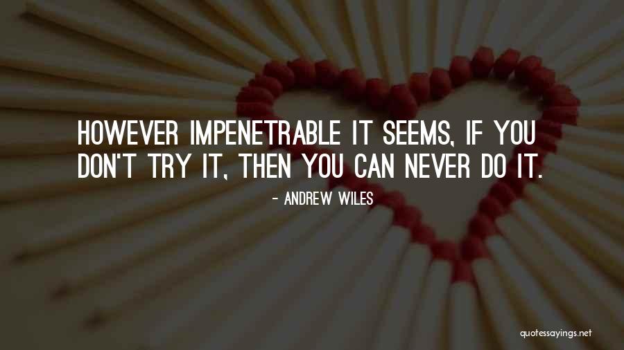 Andrew Wiles Quotes 1768518 Andrew Wiles Quotes 1768518