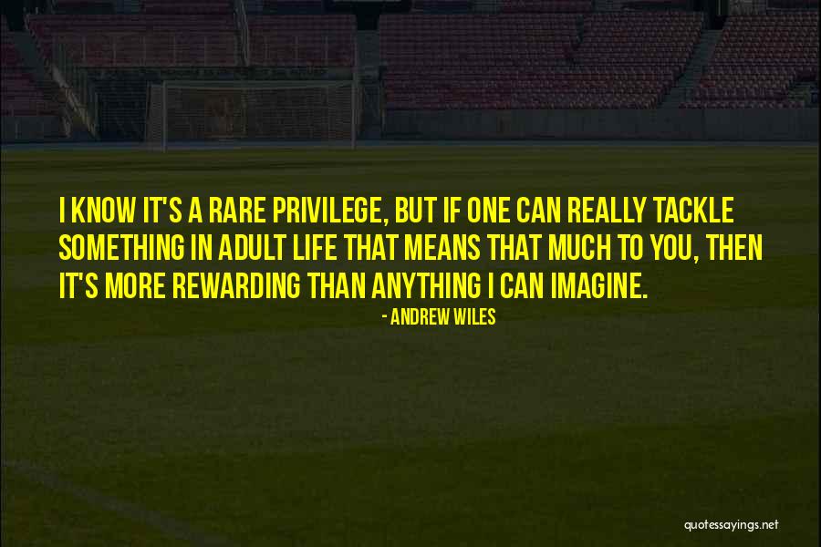 Andrew Wiles Quotes 1941911 Andrew Wiles Quotes 1941911