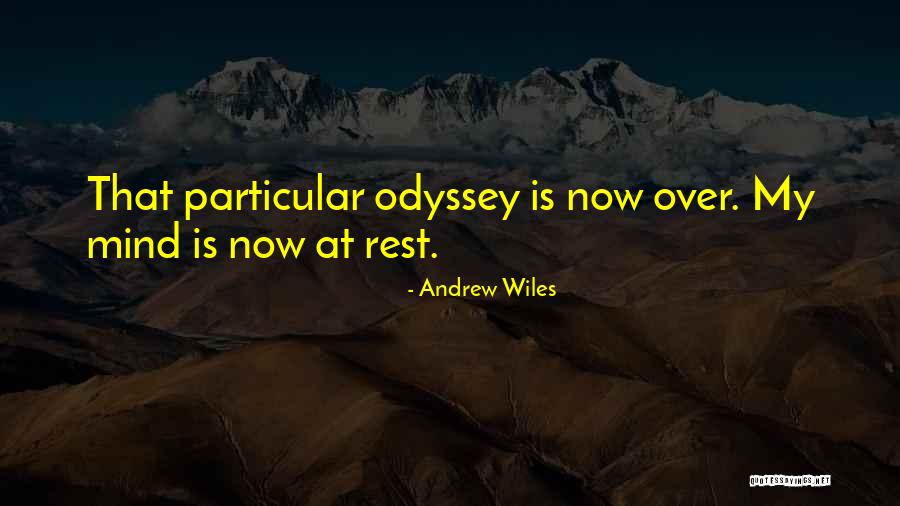 Andrew Wiles Quotes 563459