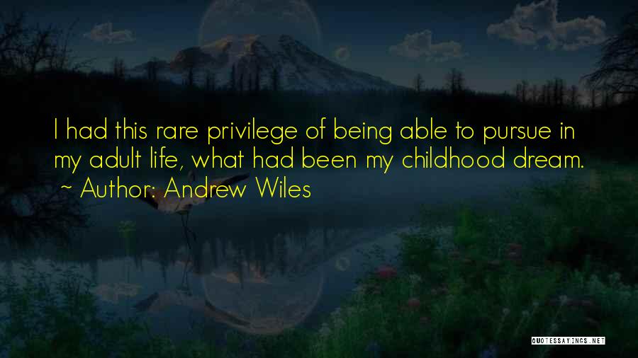 Andrew Wiles Quotes 593171