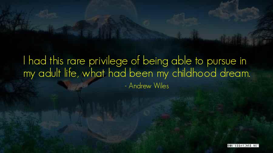 Andrew Wiles Quotes 593171 Andrew Wiles Quotes 593171