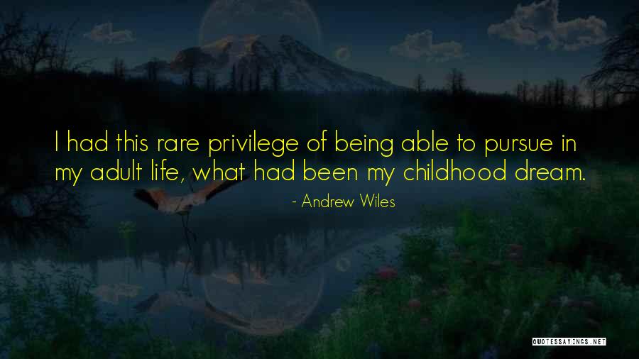 Andrew Wiles Quotes 593171