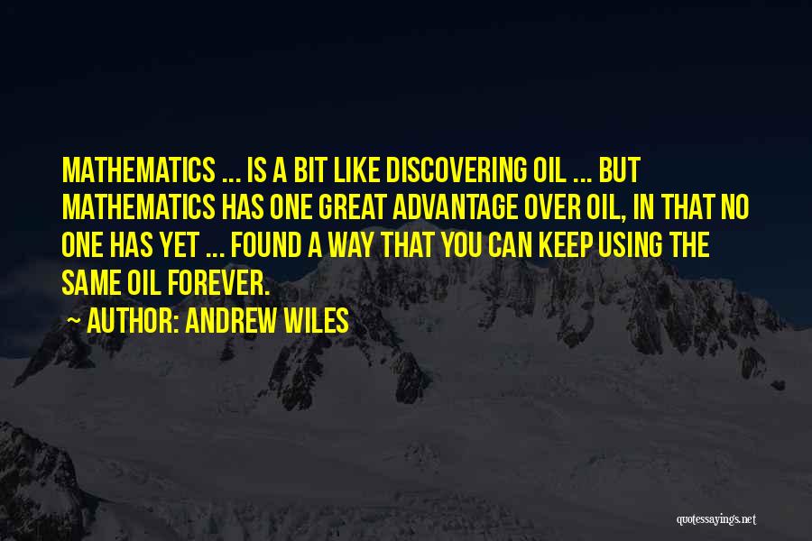 Andrew Wiles Quotes 602033