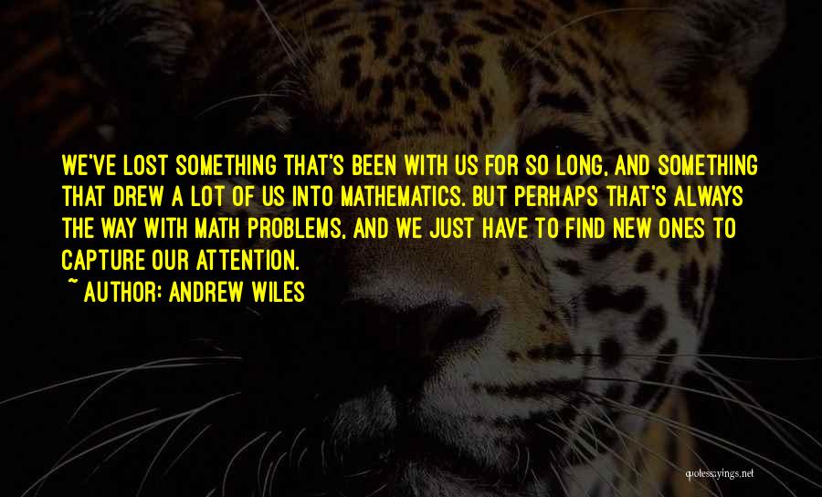 Andrew Wiles Quotes 816469