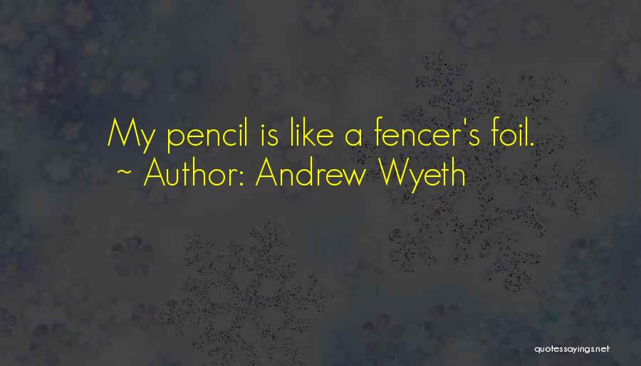 Andrew Wyeth Quotes 744002