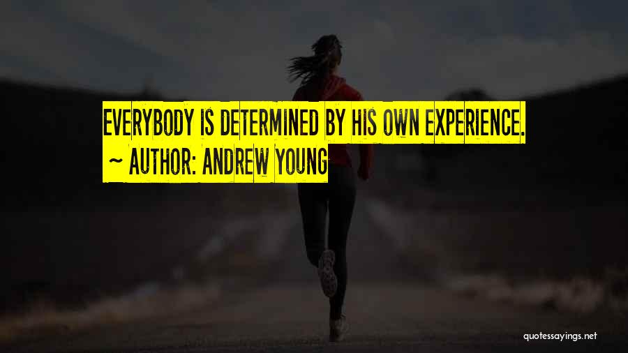 Andrew Young Quotes 2209575