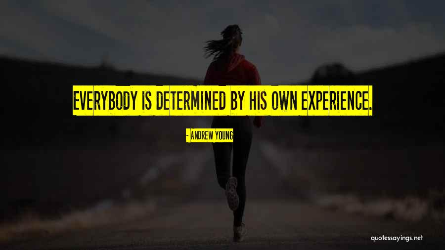 Andrew Young Quotes 2209575 Andrew Young Quotes 2209575