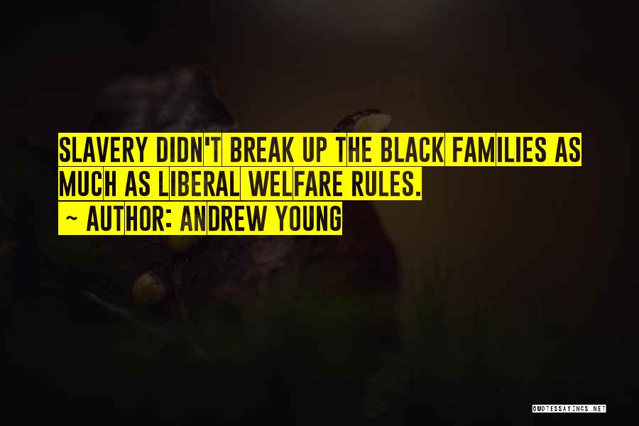Andrew Young Quotes 628513