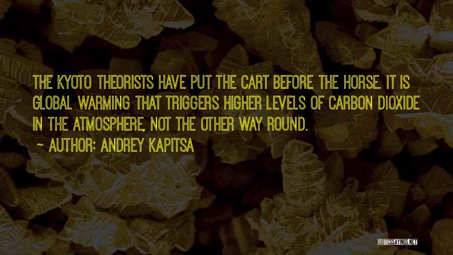 Andrey Kapitsa Quotes 1326422