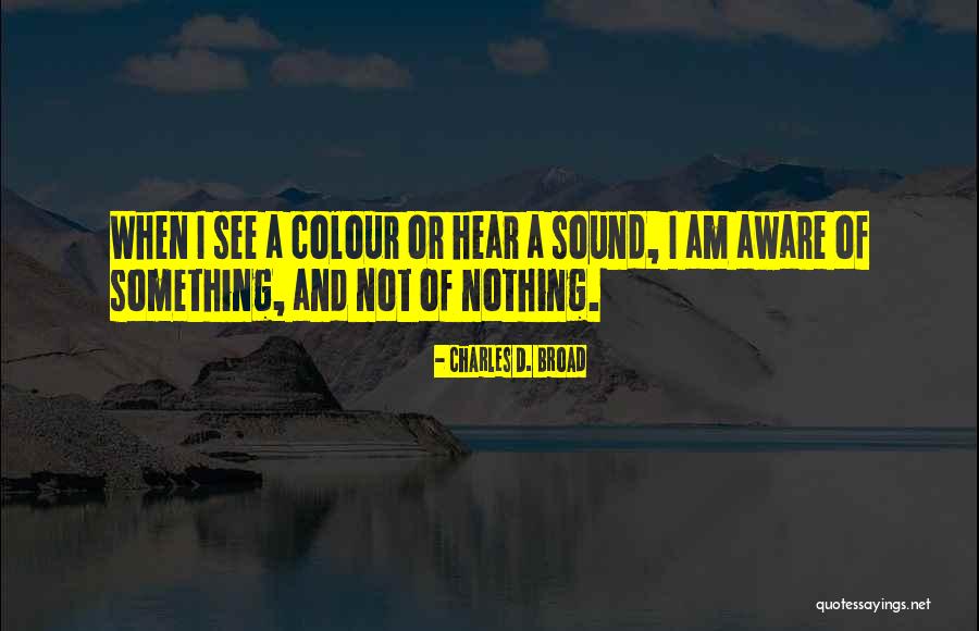 Andries Hudde Quotes By Charles D. Broad Andries Hudde Quotes By Charles D. Broad
