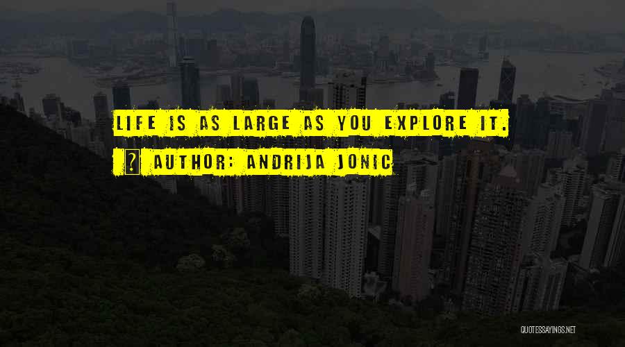 Andrija Jonic Quotes 1739310