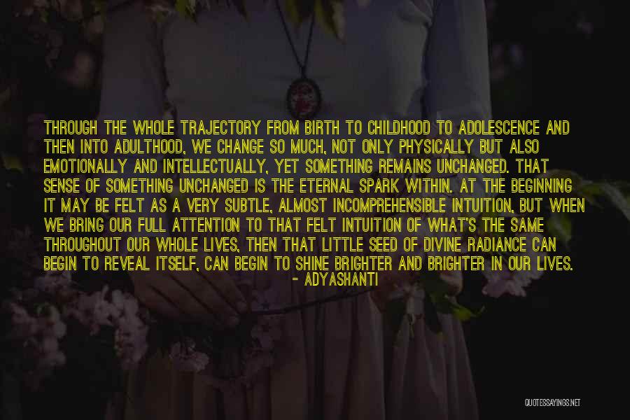 Andrino Celentano Quotes By Adyashanti Andrino Celentano Quotes By Adyashanti