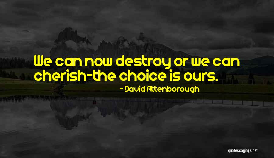 Andrino Diogenes Quotes By David Attenborough Andrino Diogenes Quotes By David Attenborough