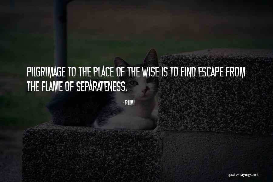 Andrino Flevotomos Quotes By Rumi