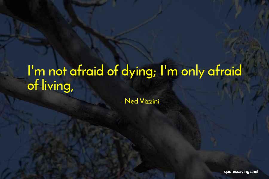 Androgyne Gender Quotes By Ned Vizzini Androgyne Gender Quotes By Ned Vizzini