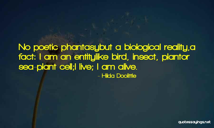 Android String Replace Double Quotes By Hilda Doolittle Android String Replace Double Quotes By Hilda Doolittle