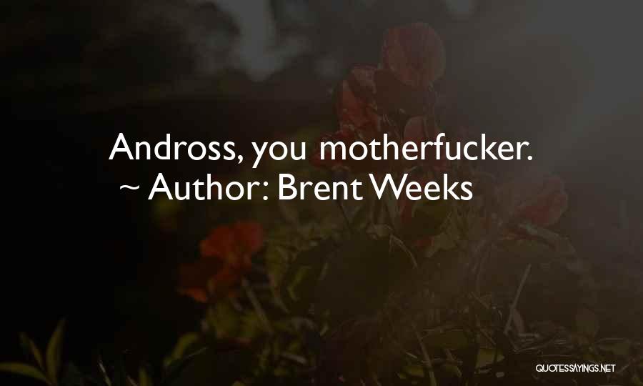 Andross Quotes By Brent Weeks